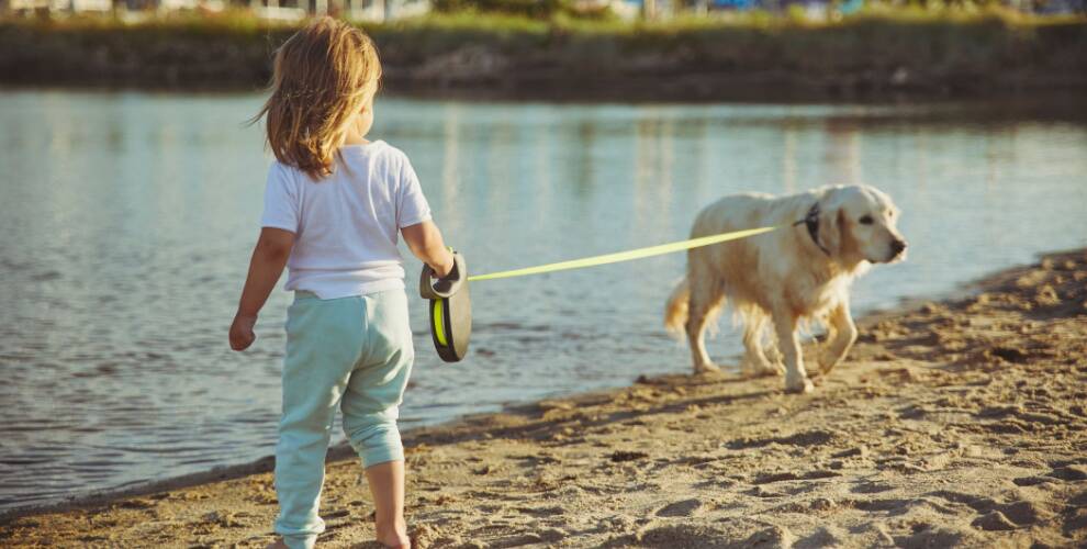 Kind, das bei Sonnenuntergang den Hund am Strand spaziert